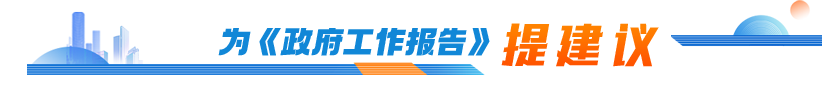 为政府工作报告提建议