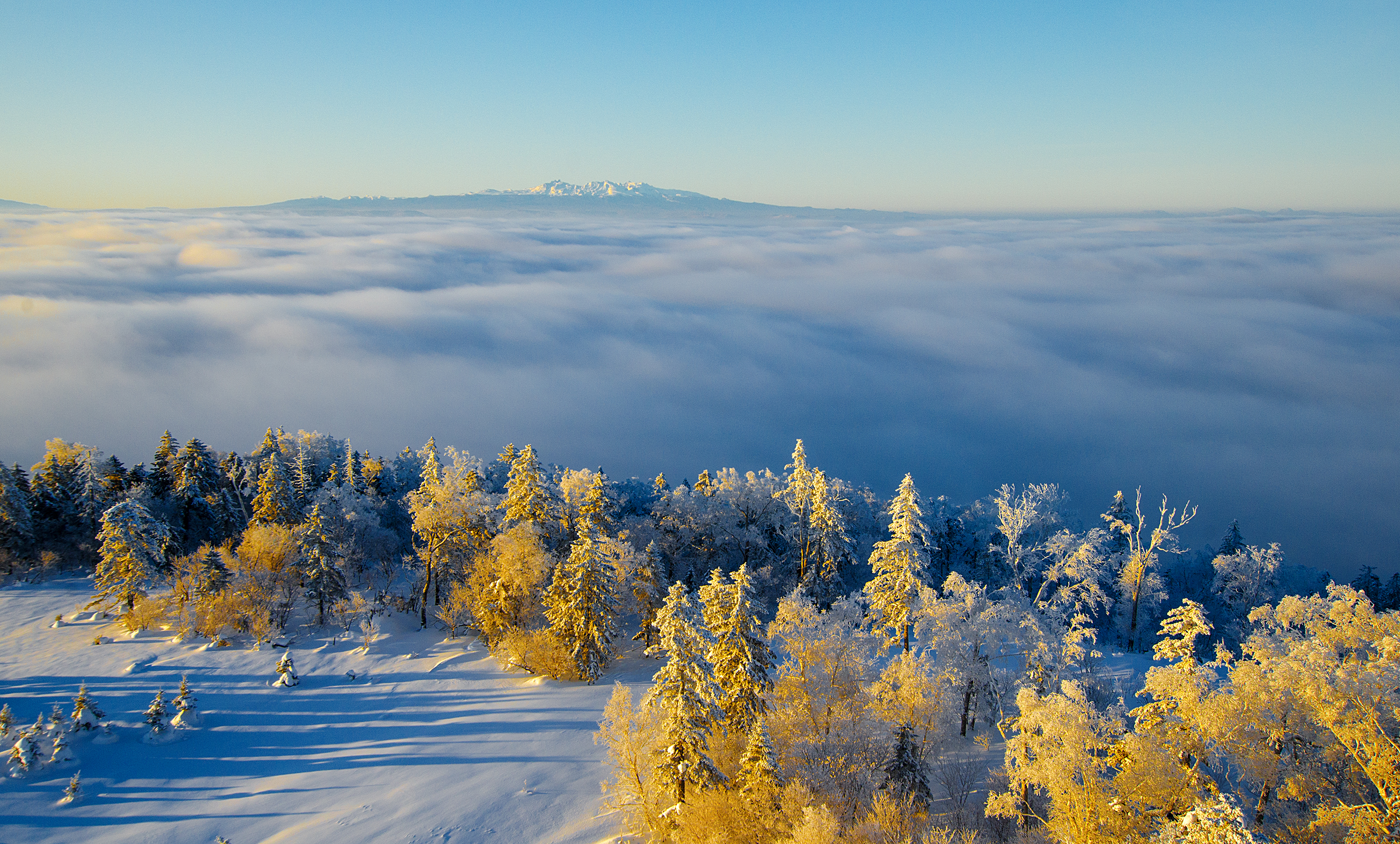 雪域神山歌谱图片